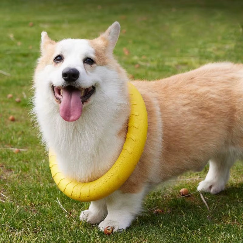 Dog Ring Toys Pet Flying Disk Training Ring Puller Anti-Bite Floating Interactive Supplies Dog Aggressive Chewing Toys 2026